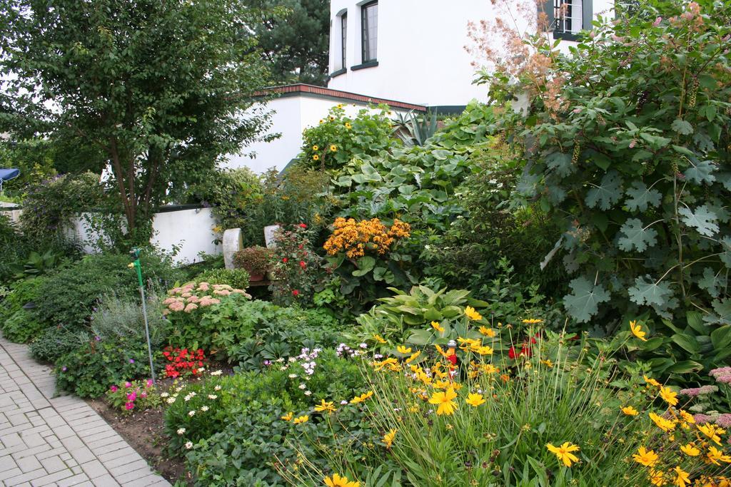 De Witte Molen Kranenburg Bed and Breakfast Kranenburg  Eksteriør billede